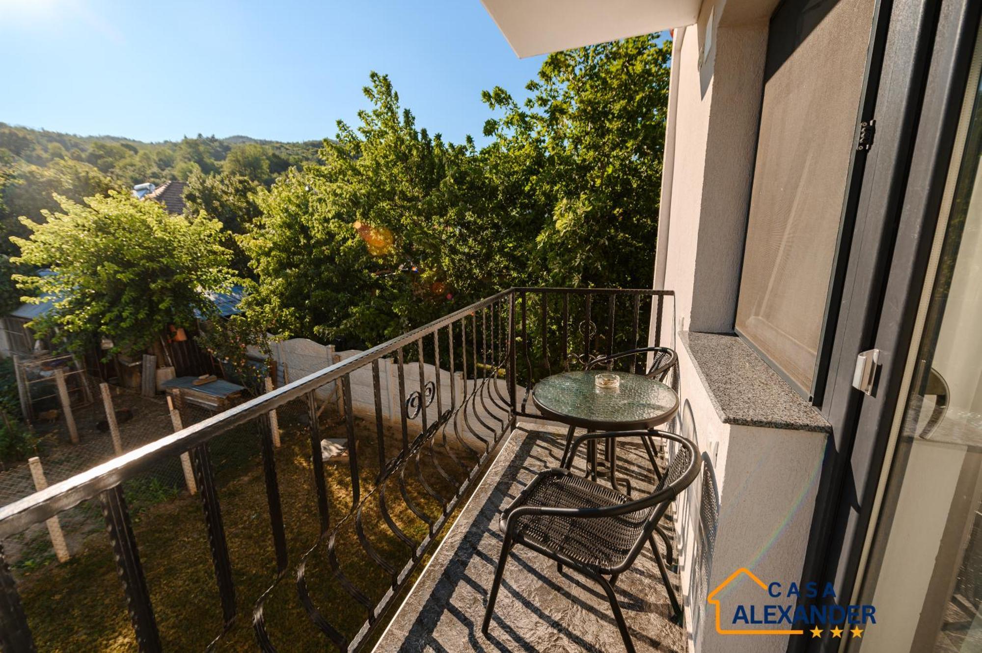 ホテル Casa Alexander Călimăneşti エクステリア 写真